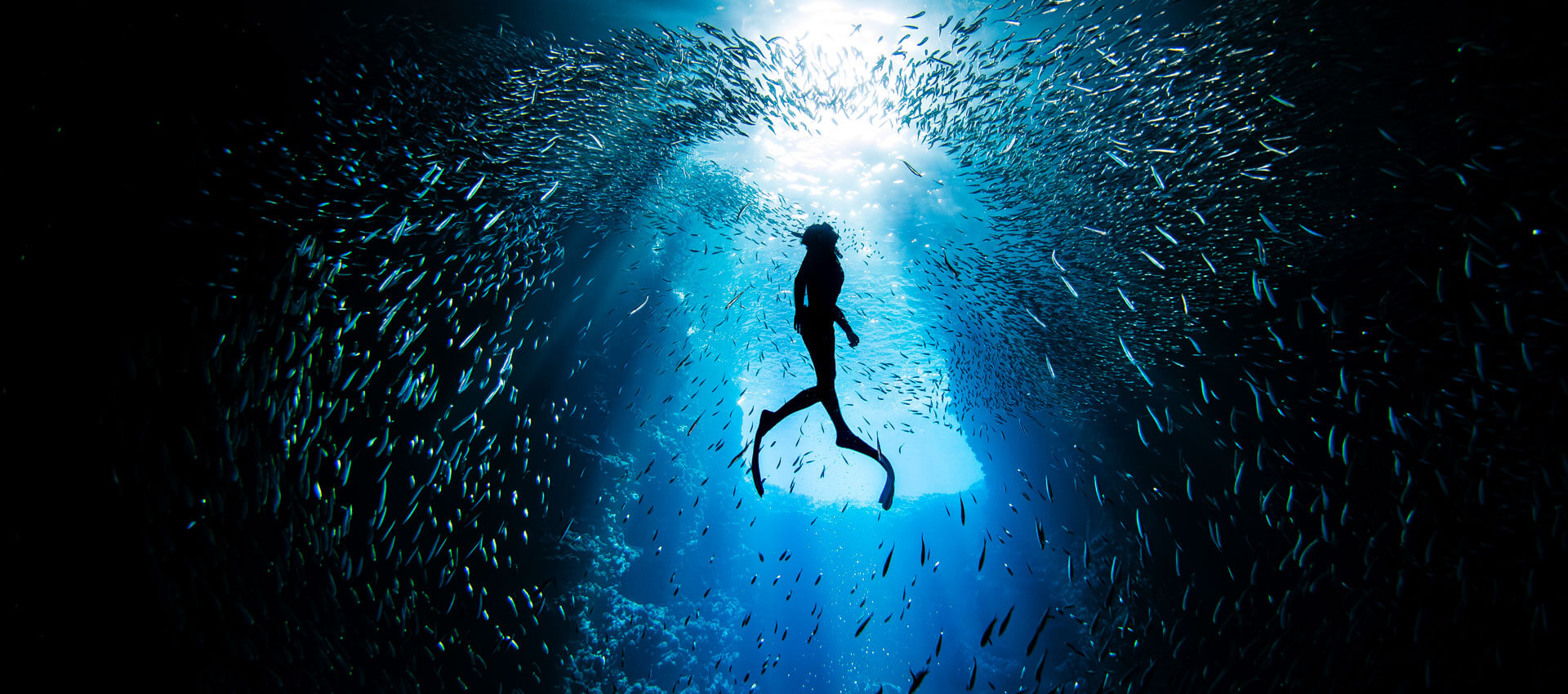 Freitaucher von Fischschwarm umgeben Portugal Sprachreise Grammatik vertiefen