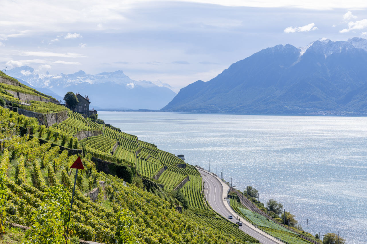 Terrassenweinberge am See, Exkursion nach dem Unterricht, Vokabeln im Alltag anwenden