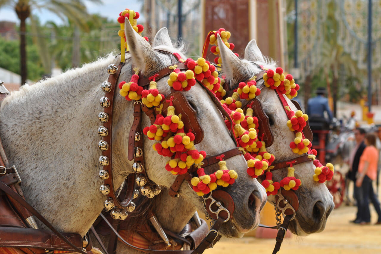 Traditionell geschmückte Pferde mit roten-gelben Pompons auf einem Fest in Cádiz, Andalusien.