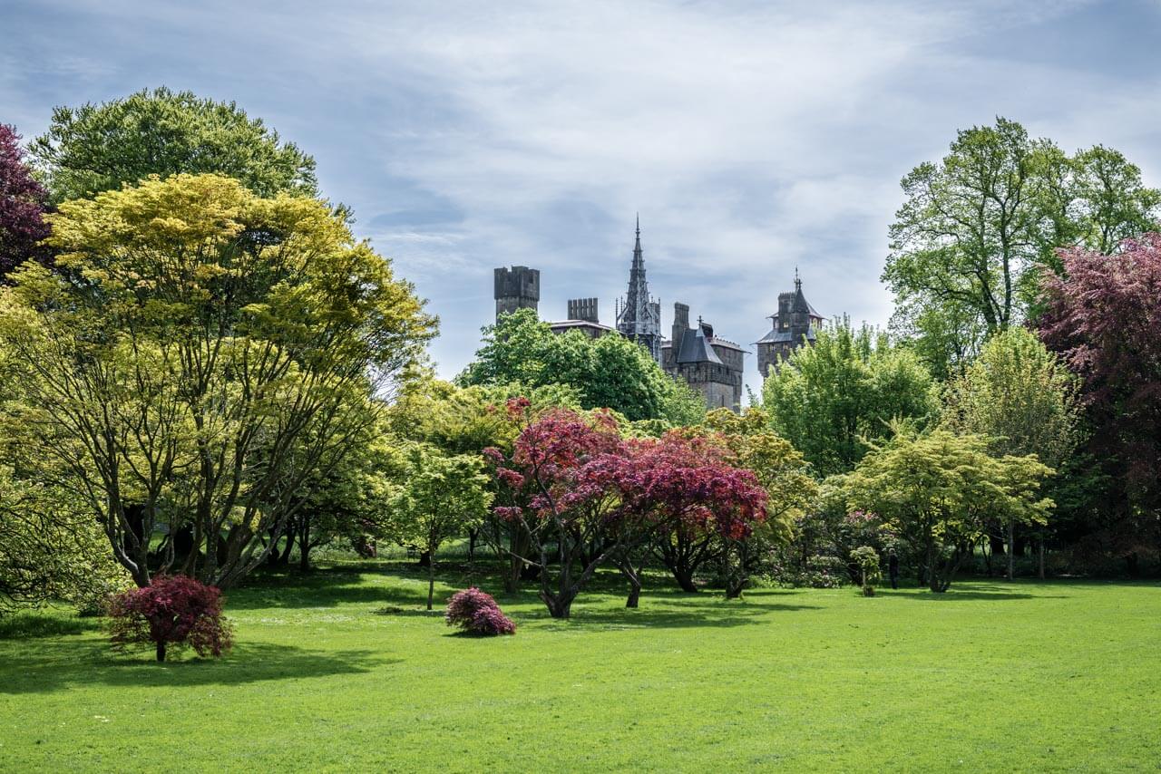 Grüner Stadtpark mit blühenden Bäumen, dahinter Burgtürme. Konversation üben im Freien.