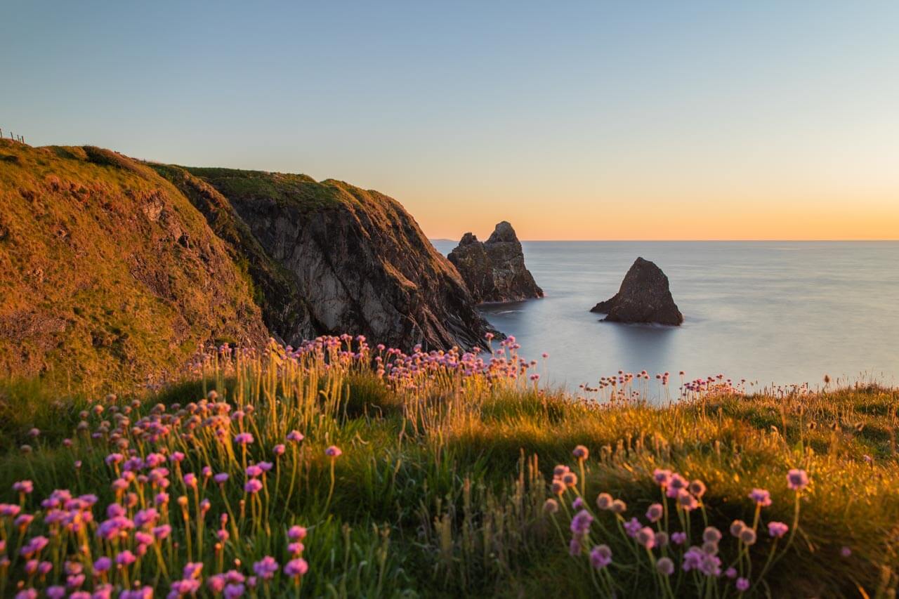 Klippenküste im Abendlicht mit rosa Strandnelken, Hörverstehen üben am Meer.