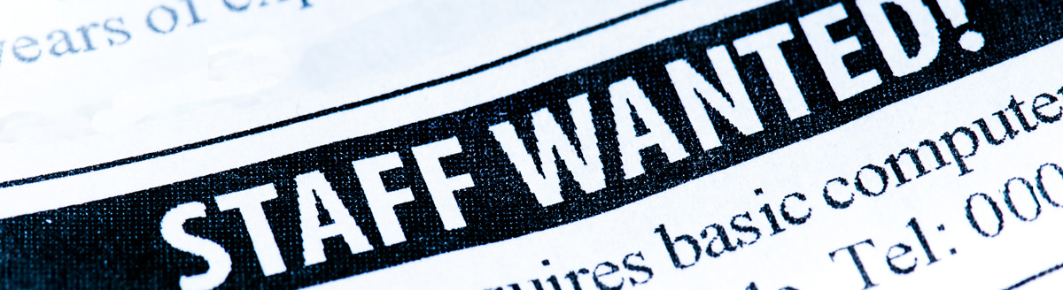 Arbeiten bei StudyLingua