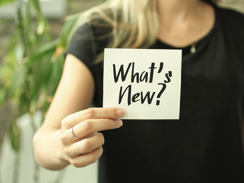 News bei StudyLingua