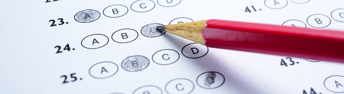 Finde dein Sprachlevel heraus