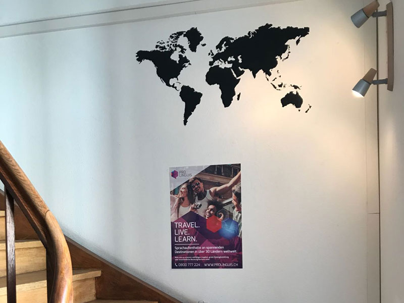 Die StudyLingua Story