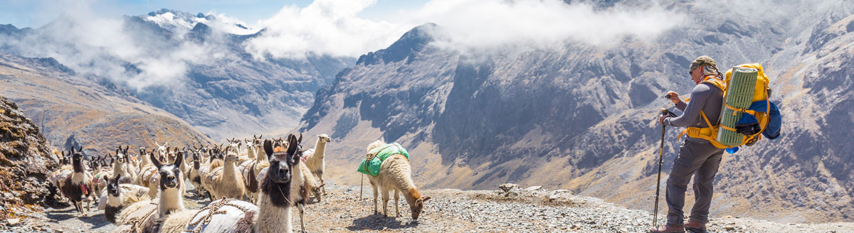 Trekking in den Anden mit einer Lama-Herde auf einem Bergpfad – Sprachreise nach Bolivien