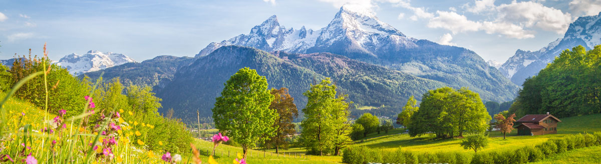 Alpenlandschaft in Österreich mit blühenden Wiesen, Wäldern und schneebedeckten Bergen – Sprachreise in die Natur