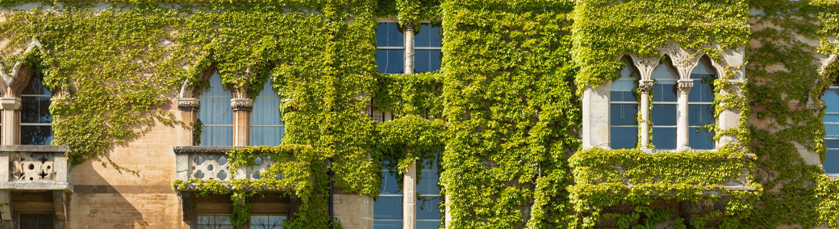 Historische College-Fassade in Oxford mit Efeu – ikonisches Ambiente für Englisch-Sprachreisen nach Großbritannien