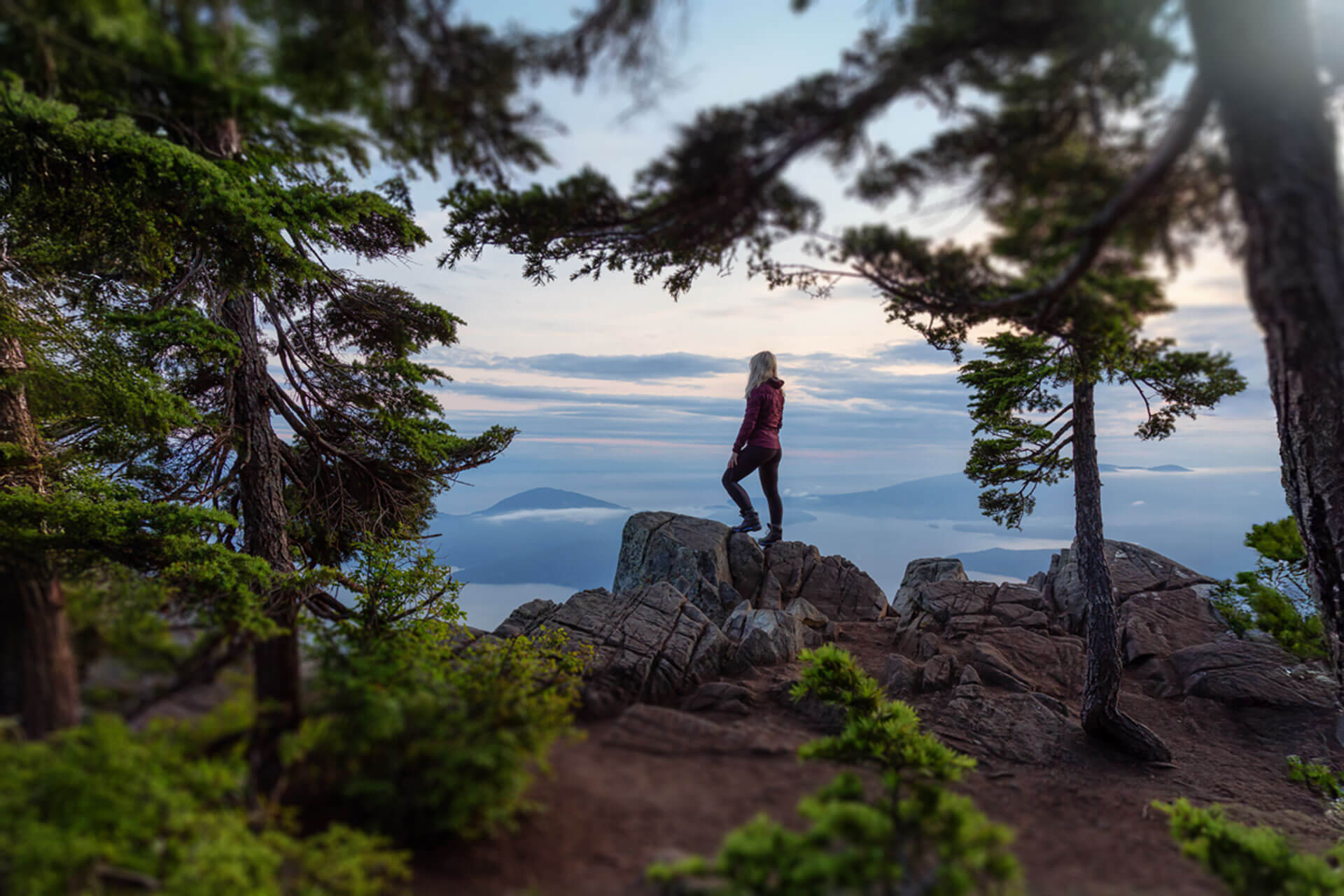 Person steht auf einem Felsen und blickt über eine bewaldete Berglandschaft mit Inseln im Nebelmeer