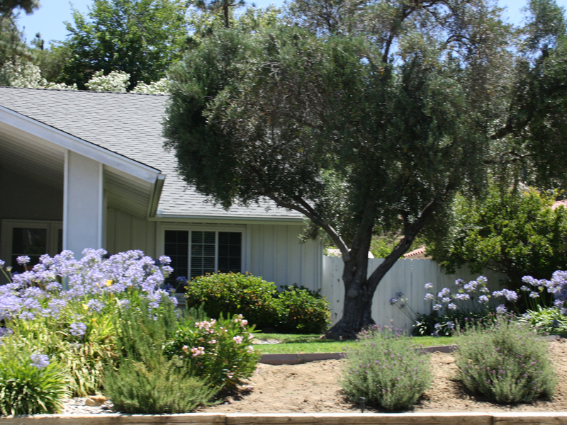 Privatunterkunft Beispiel, Englisch Sprachreisen nach Fort Lauderdale